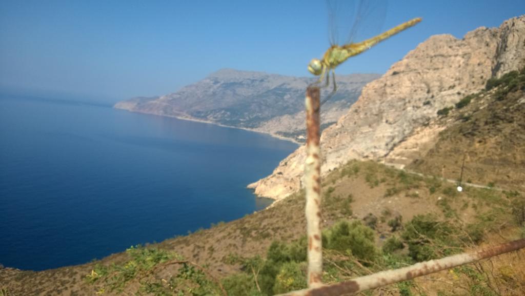Manganítis Ikaria Studios מראה חיצוני תמונה